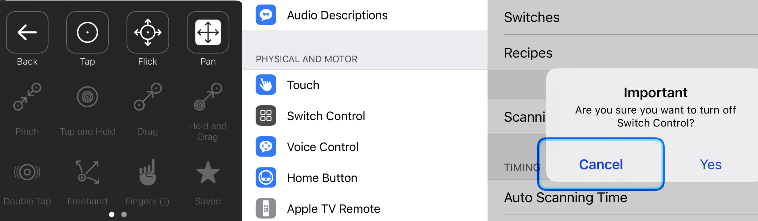 A collage of native iOS adaptive controls and settings